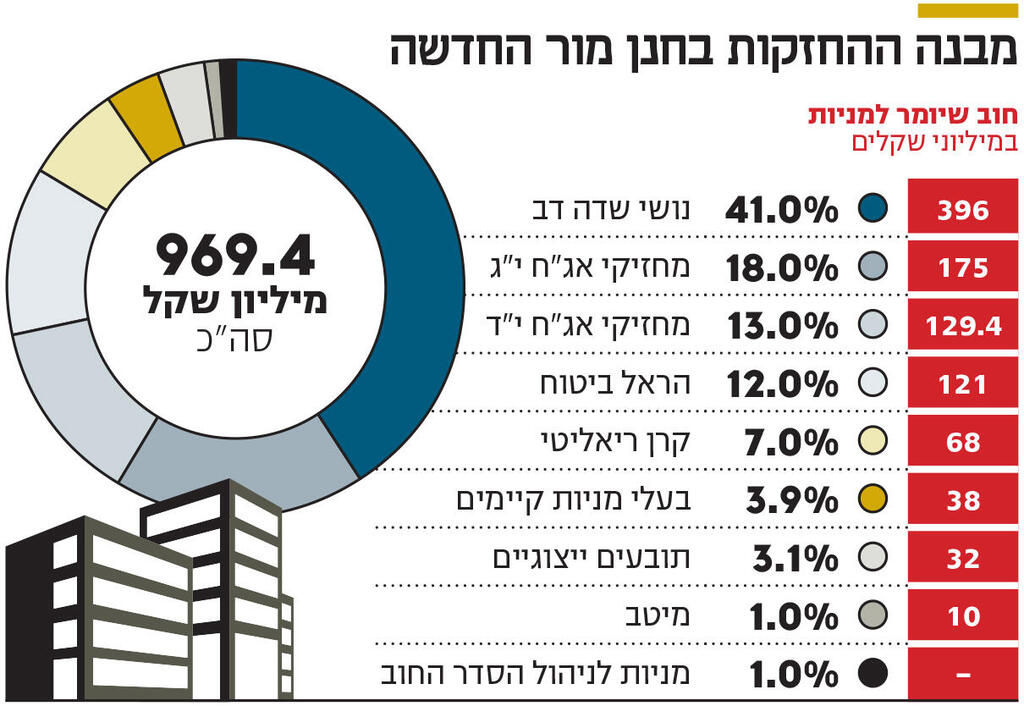 אינפו מבנה ההחזקות בחנן מור החדשה