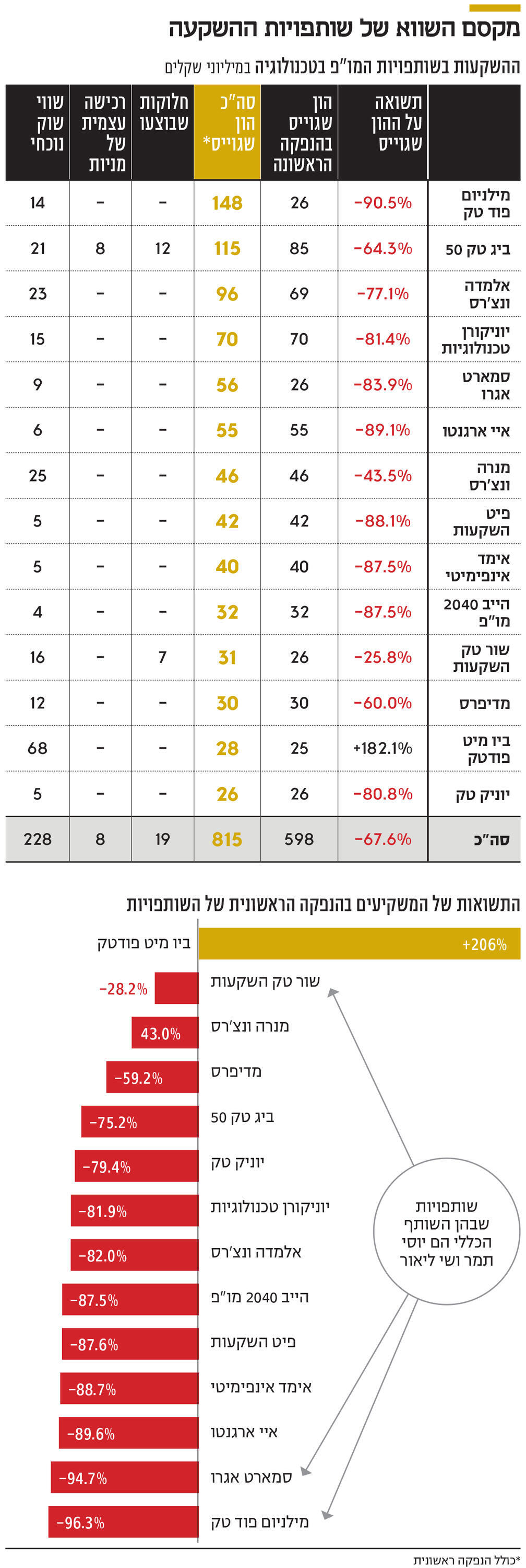 אינפו מקסם השווא של שותפויות ההשקעה