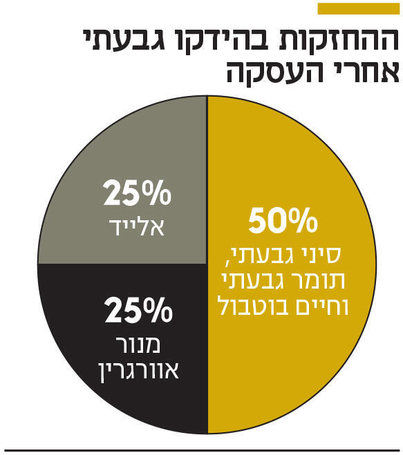 אינפו ההחזקות בהידקו גבעתי אחרי העסקה