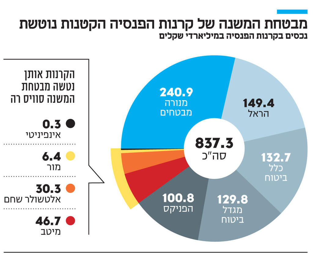 אינפו מבטחת המשנה של קרנות הפנסיה הקטנות נוטשת