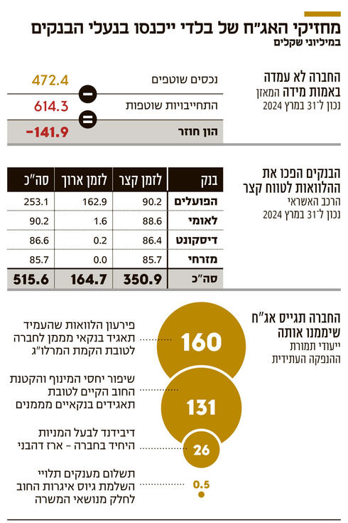 מחזיקי האג"ח של בלדי ייכנסו בנעלי הבנקים,  