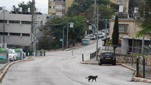 פגיעת העומק בכלכלת הצפון נחשפת, הדרום מתחיל להתאושש