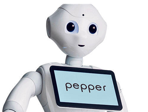 Sophia Pepper Stretch Robot