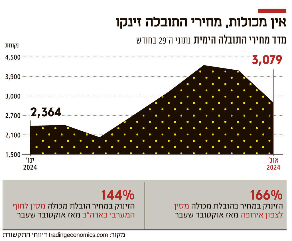 אינפו אין מכולות 