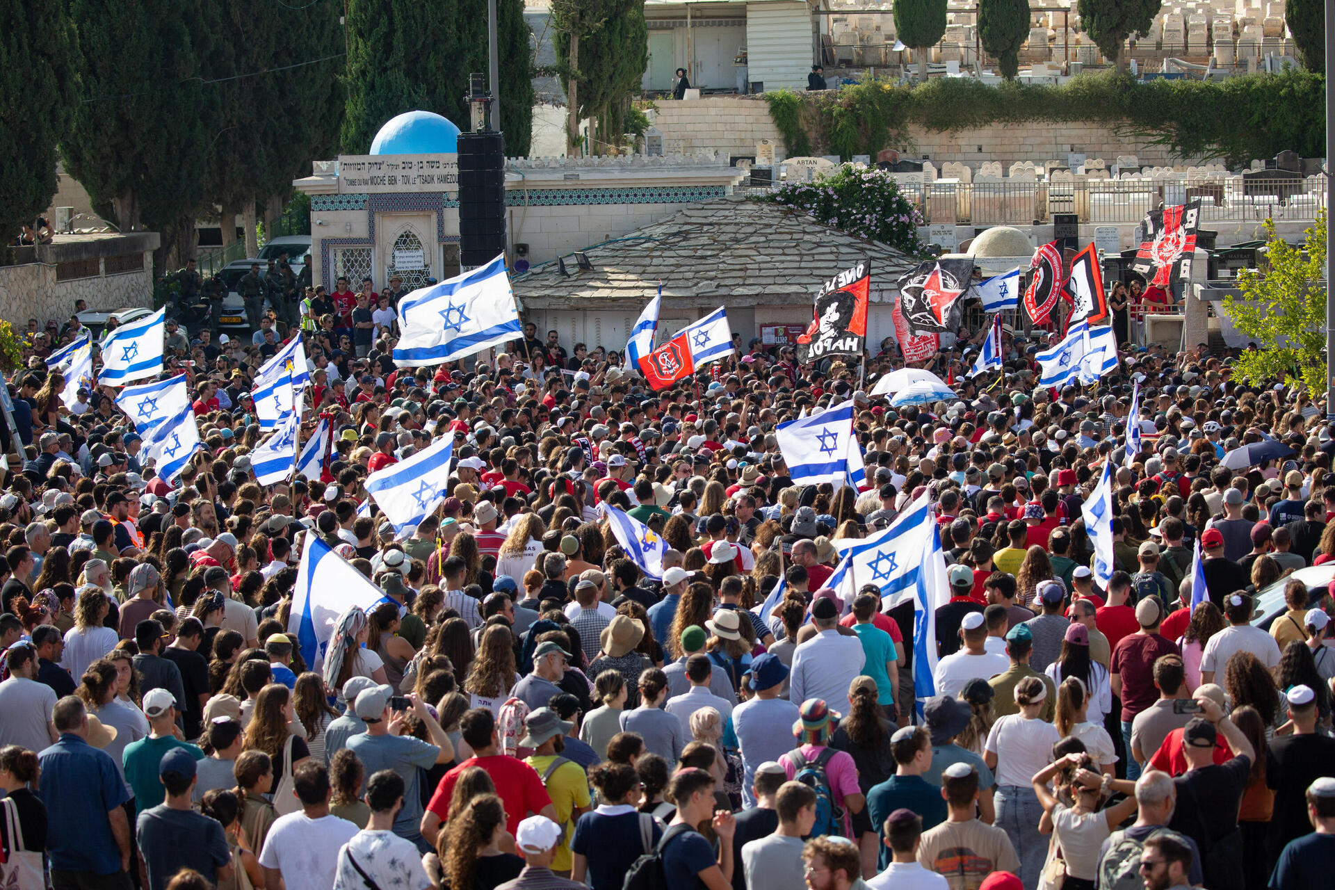 מוסף הלוויתו של הרש גולדברג פולין, צילום: אלכס קולומויסקי