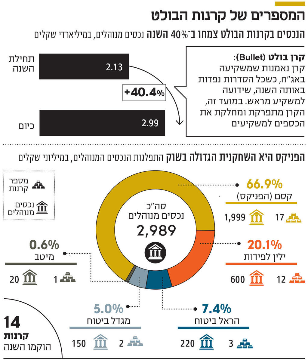 אינפו המספרים של קרנות הבולט