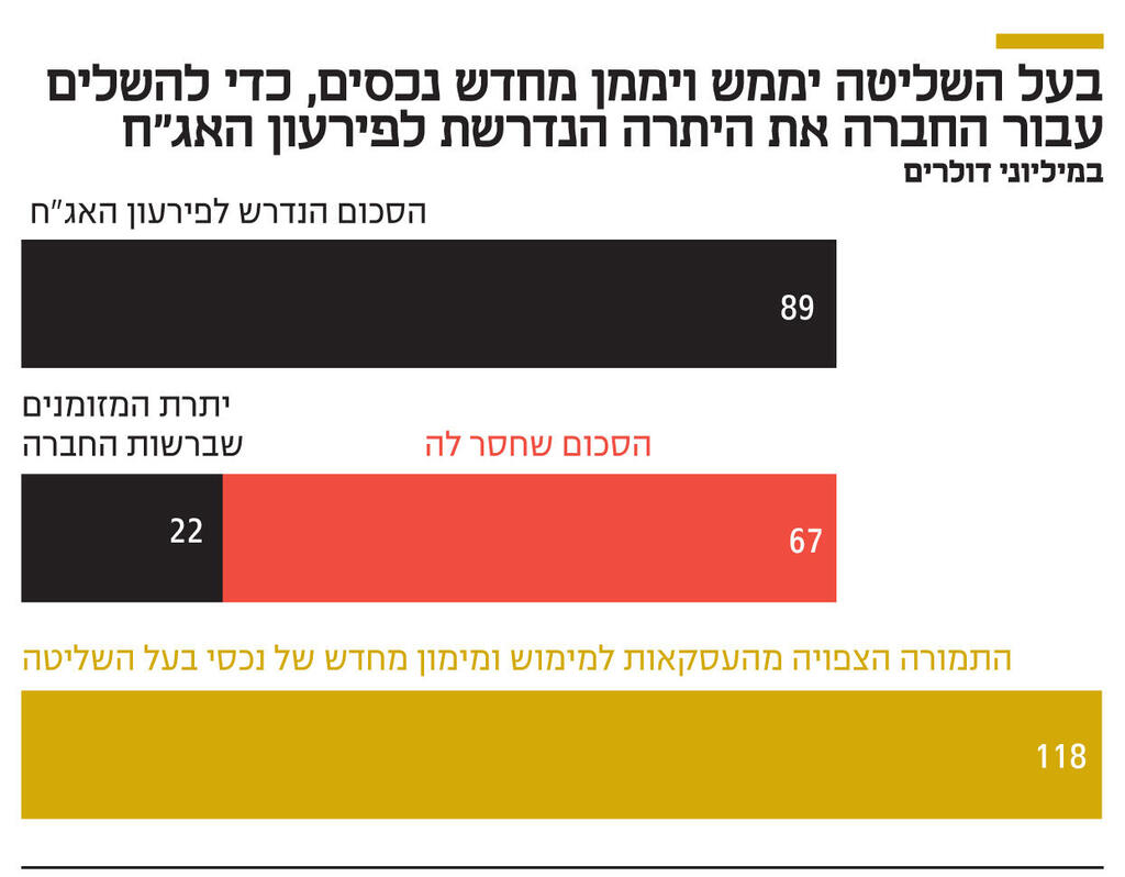 אינפו בעל השליטה 