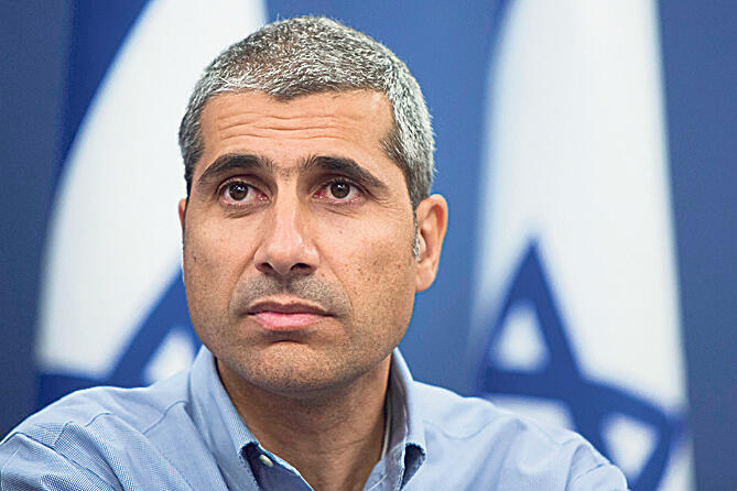 אמיר לוי 