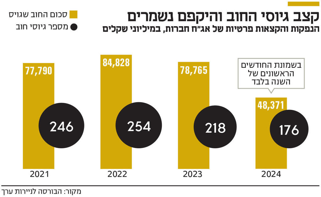 אינפו קצב גיוסי החוב והיקפם נשמרים