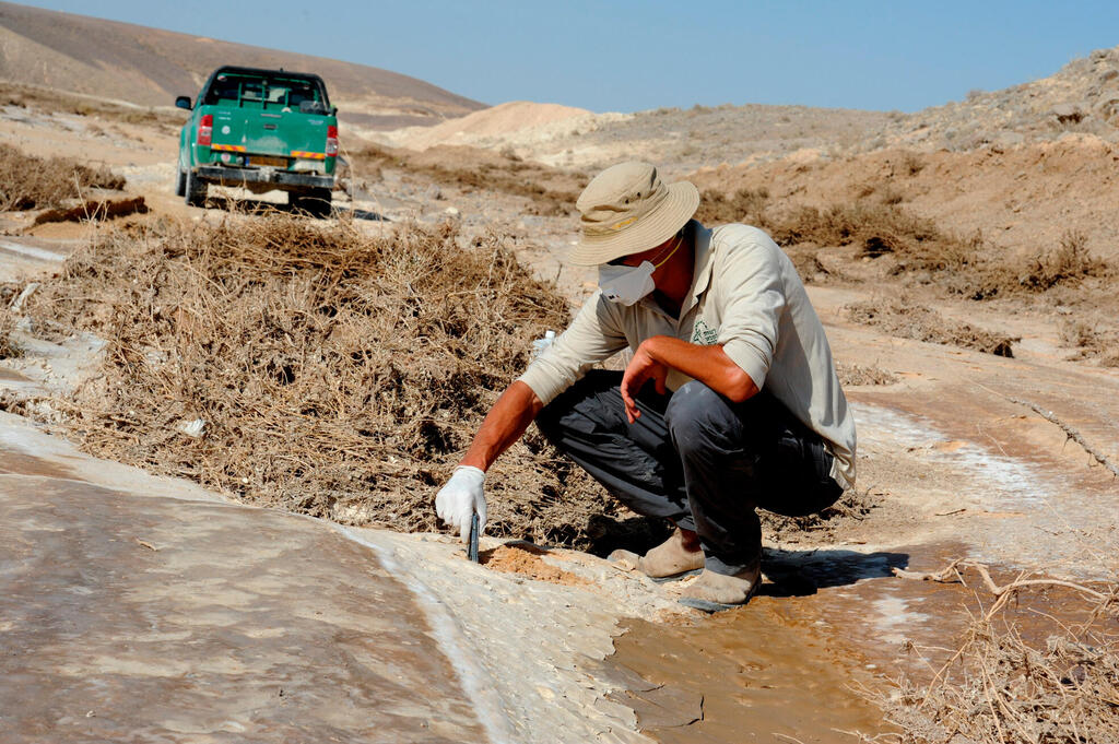 פקח שמורות הטבע דוגם את עקבות נזקי ה חומצה שהציפה את נחל אשלים ו גרמה לנזק רב בעקבות קריסת בריכה מ מפעל רותם אמפרט ב נגב