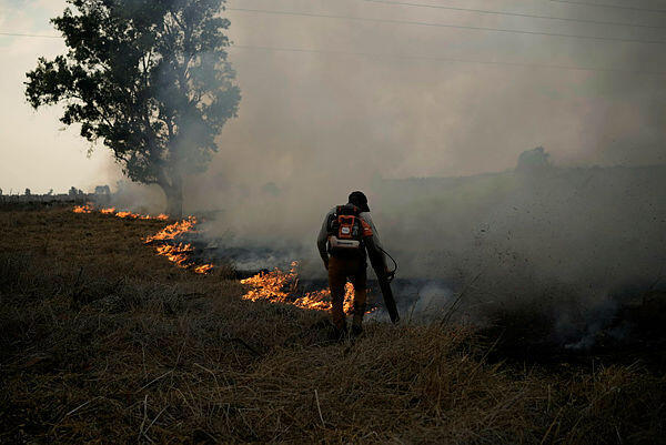 כיבוי שריפה בצפון לאחר ירי מלבנון, צילום: AP Photo//Leo Correa