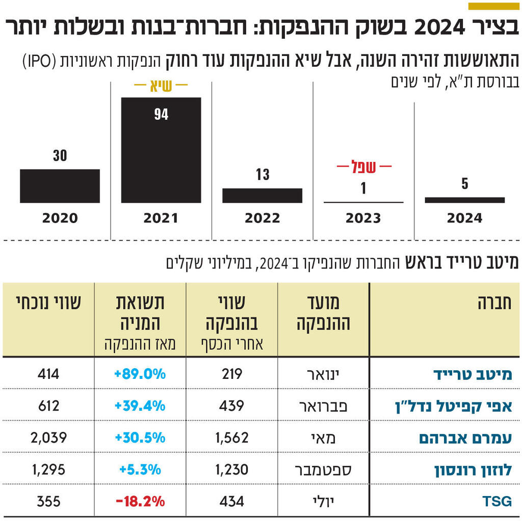 אינפו בציר 2024 בשוק ההנפקות: חברות־בנות ובשלות יותר