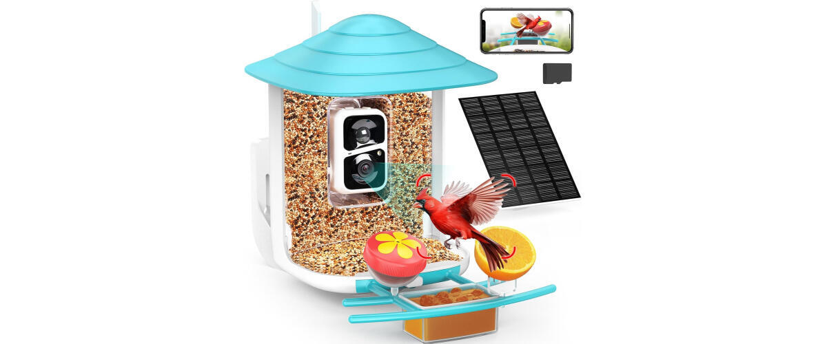 Birdsnap Bird Feeder Camera 