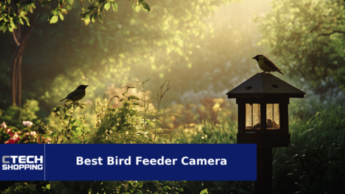 Reviewing the Best Bird Feeder Camera of 2024