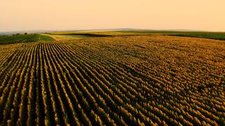 Precision Agriculture: A Solution for Improving Israel's Public Image?