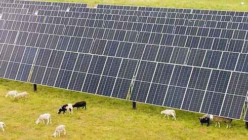 צילום: דוראל דוראל מתרחבת בארה"ב: רוכשת פאנלים סולאריים ב-650 מיליון דולר