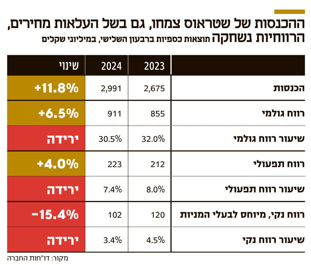 אינפו ההכנסות של שטראוס צמחו