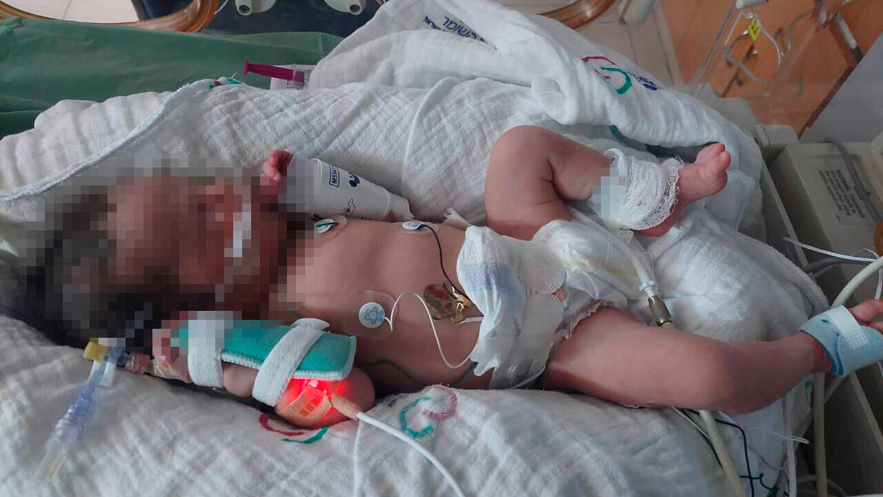  מרכז רפואי בית חולים שיבא תל השומר לידה היריון פרשה פרשת ביציות החלפה ביצית אסותא ראשון לציון  התינוקת סופיה משפט שלמה הגרסה המודרנית