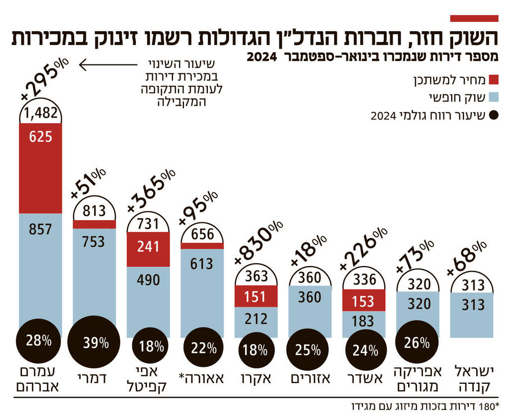 אינפו השוק חזר חברות הנדל"ן הגדולות רשמו זינוק במכירות