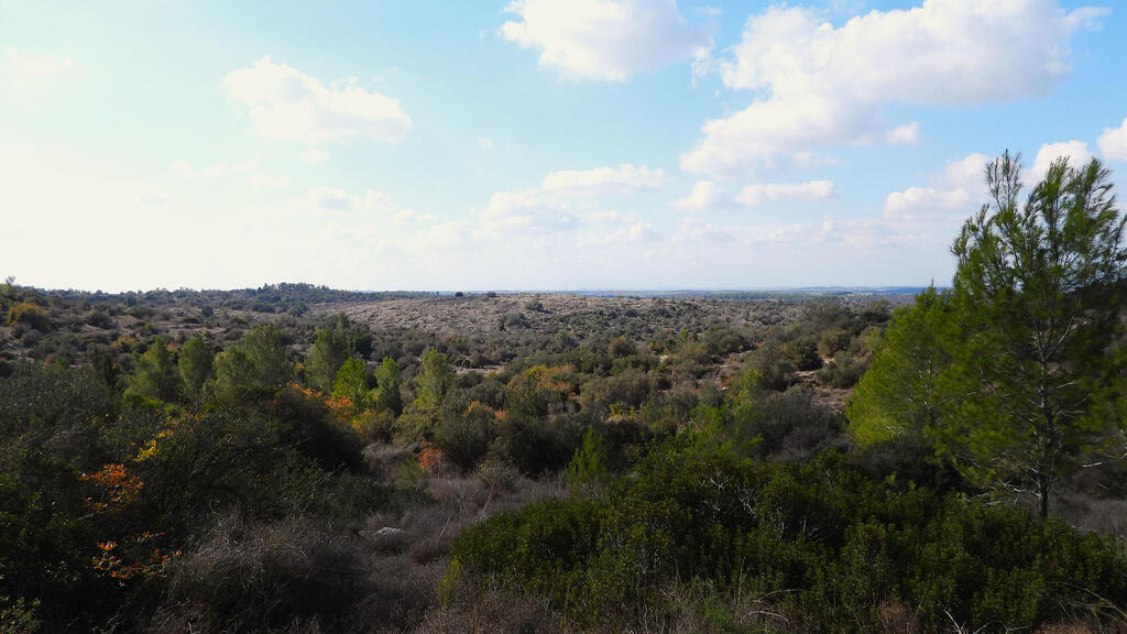 קידוח נפט ב שפלת יהודה 3