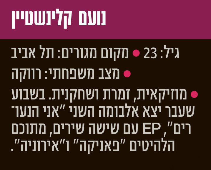 פנאי אינפו נועם קלינשטיין 