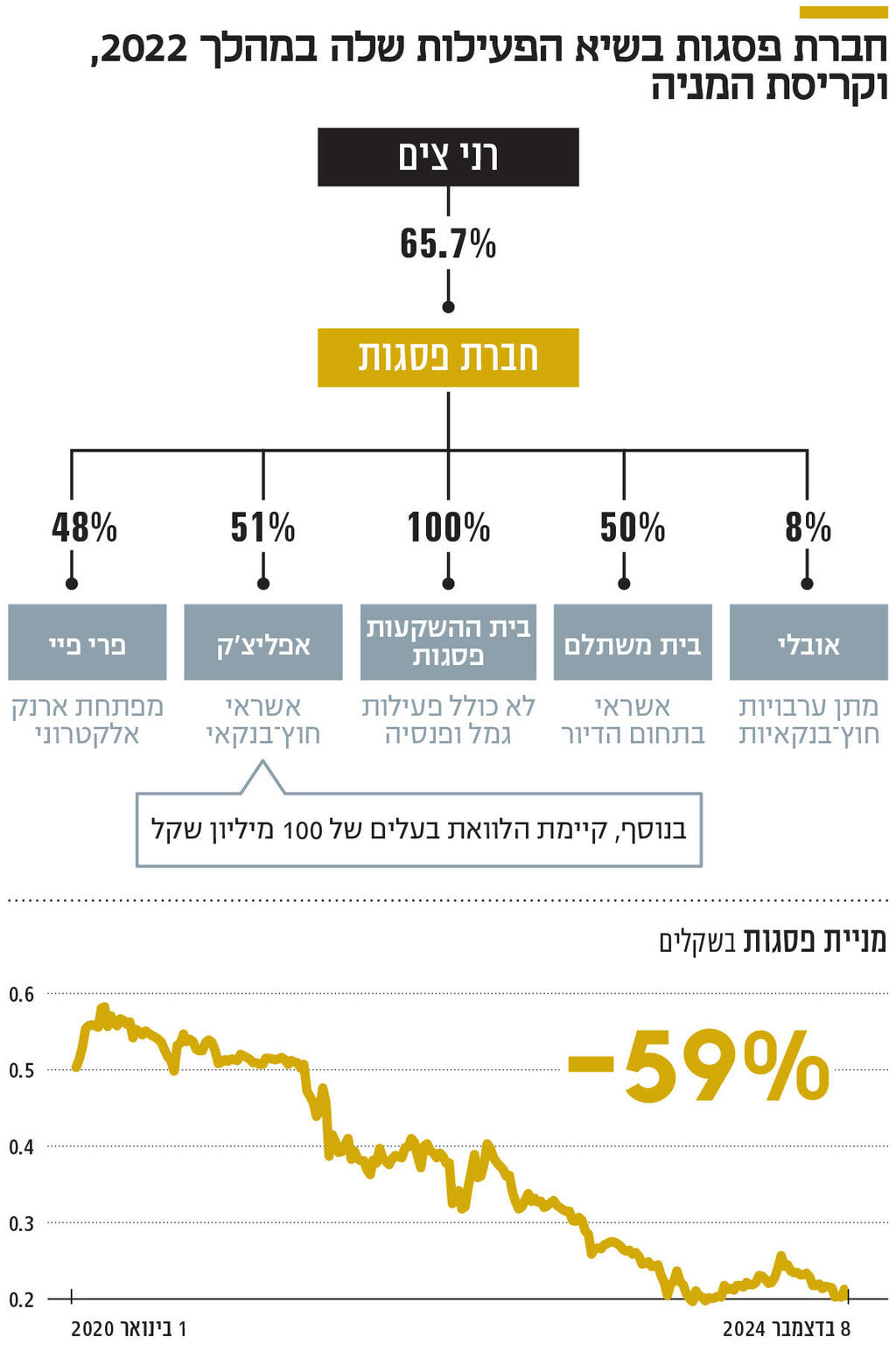 אינפו חברת פסגות בשיא הפעילות שלה במהלך 2022 , וקריסת המניה