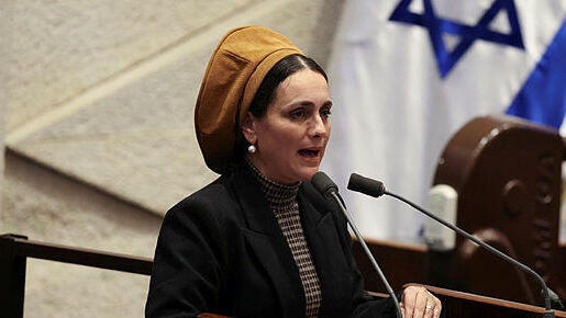 לימור סון הר מלך חבר כנסת ה ציונות ה דתית ב מליאת ה כנסת