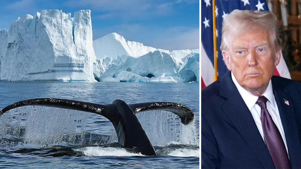 דונלד טראמפ ו גרינלנד