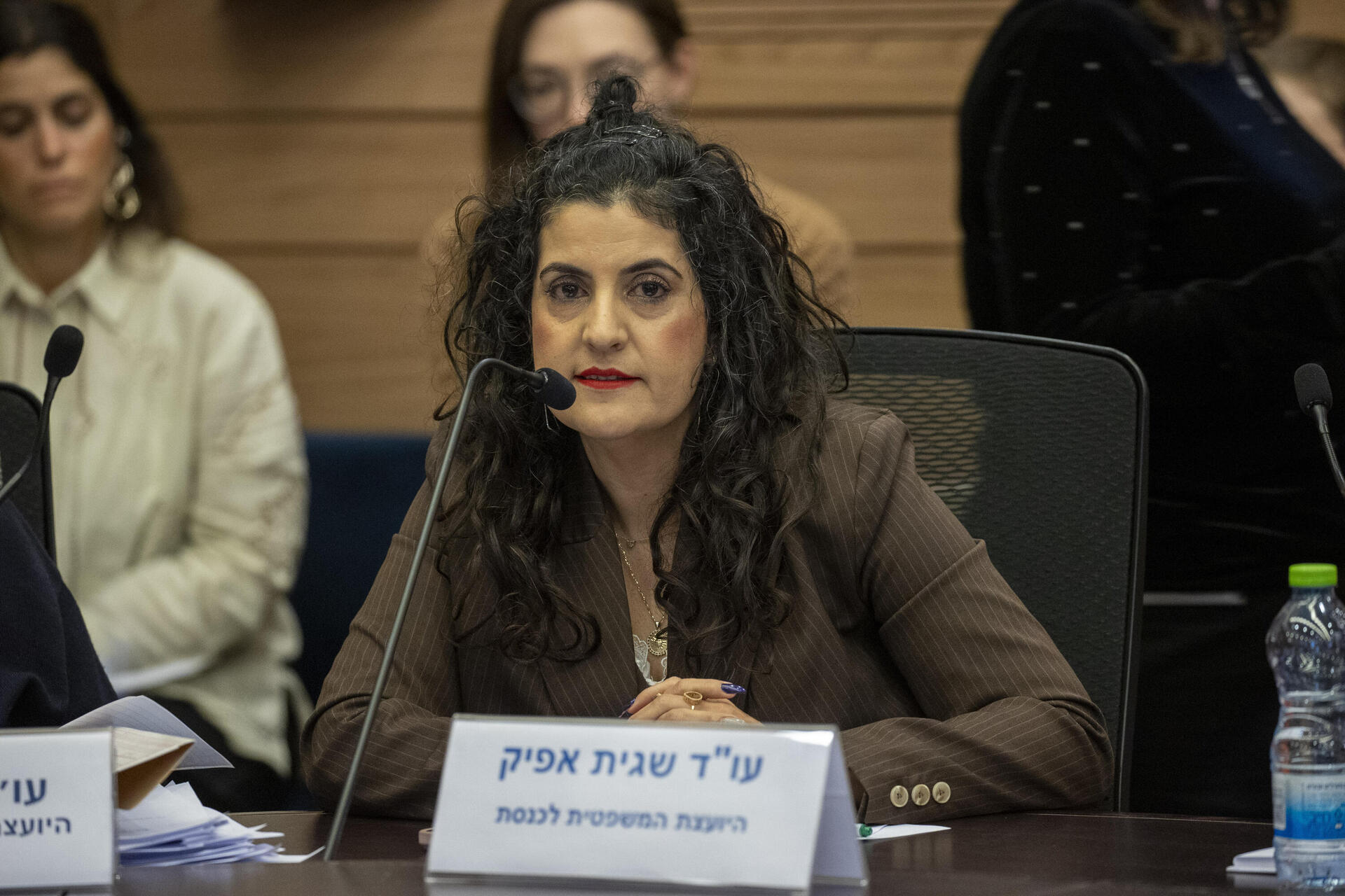 יועמ"שית הכנסת עו"ד שגית אפיק 8.1.25