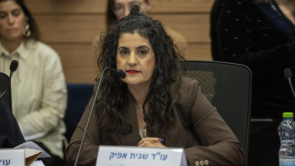 יועמ"שית הכנסת עו"ד שגית אפיק 8.1.25