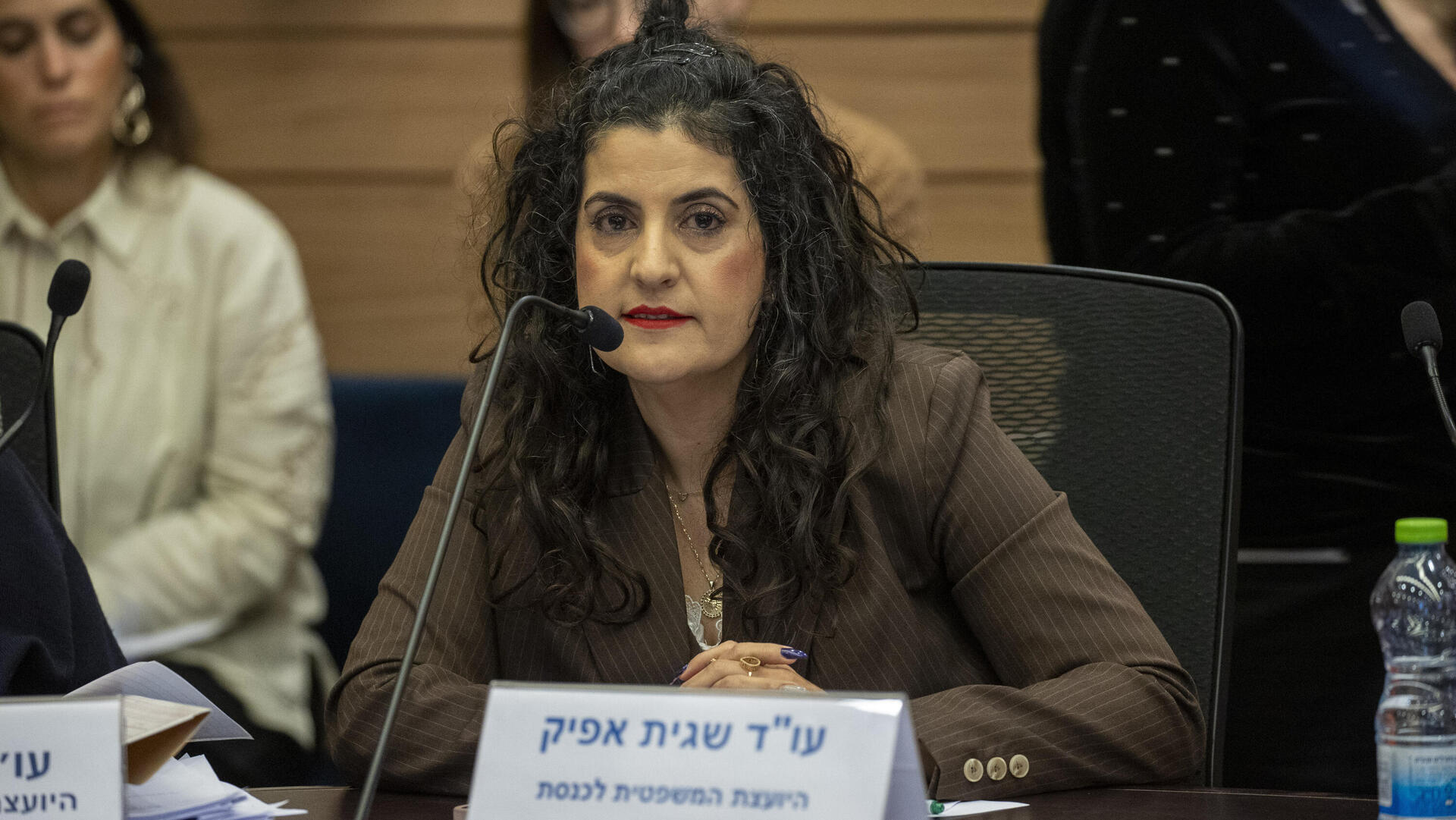 יועמ"שית הכנסת עו"ד שגית אפיק 8.1.25