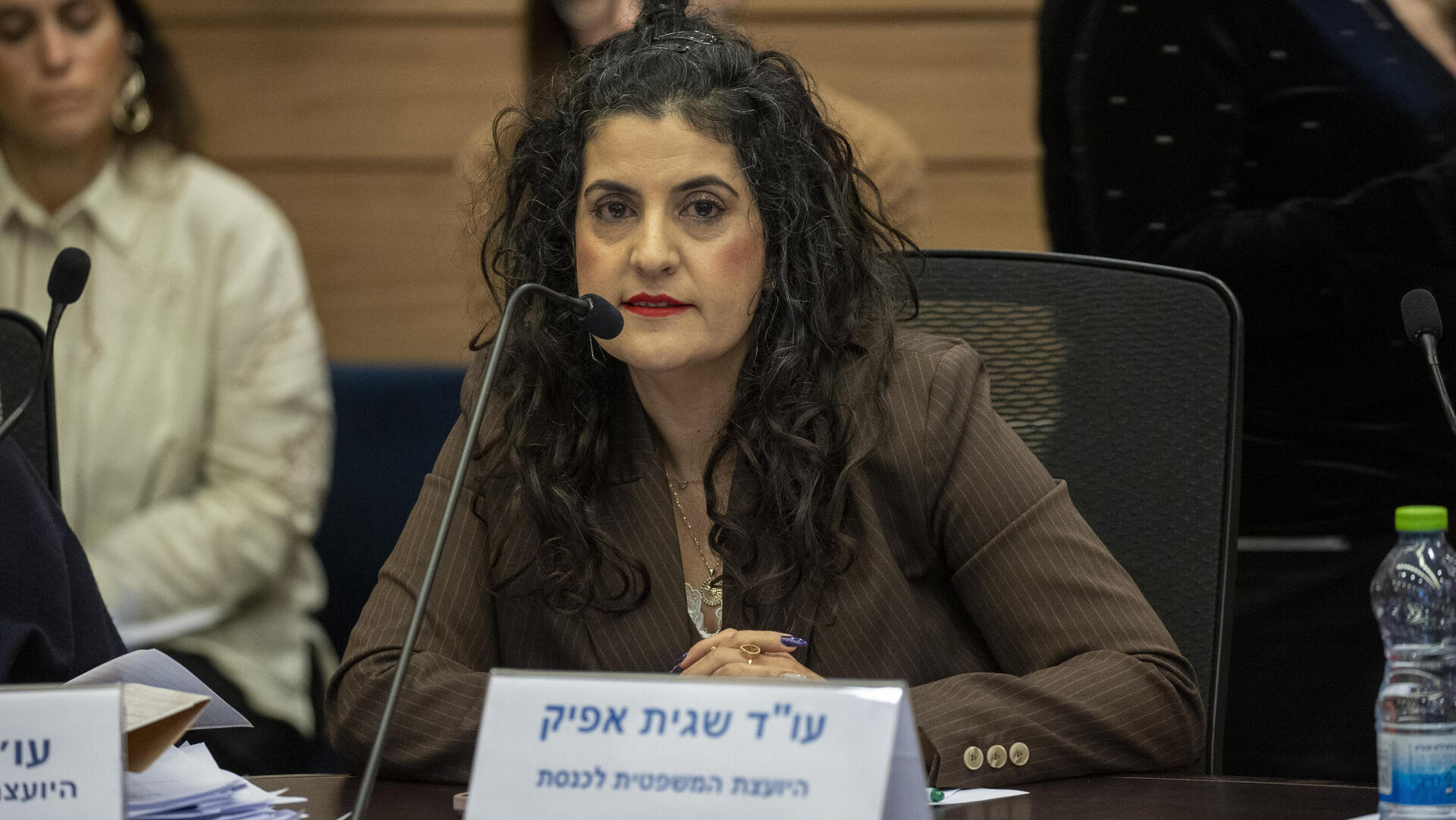 יועמ"שית הכנסת עו"ד שגית אפיק 8.1.25
