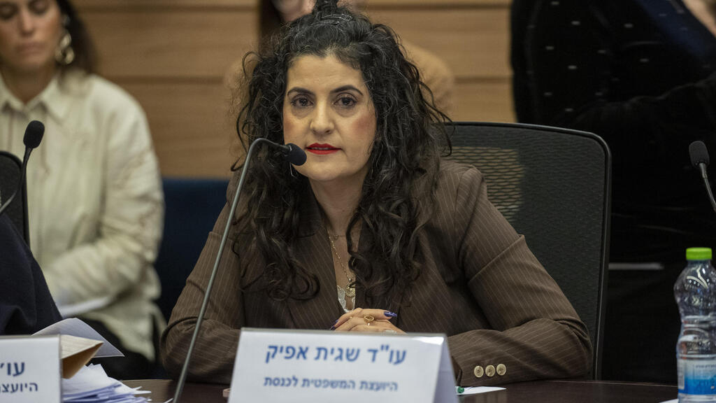 יועמ"שית הכנסת עו"ד שגית אפיק (צילום: עמית שאבי) יועמ"שית הכנסת עו"ד שגית אפיק 8.1.25