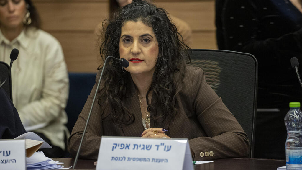 יועמ"שית הכנסת עו"ד שגית אפיק 8.1.25