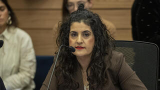 יועמ"שית הכנסת עו"ד שגית אפיק 8.1.25