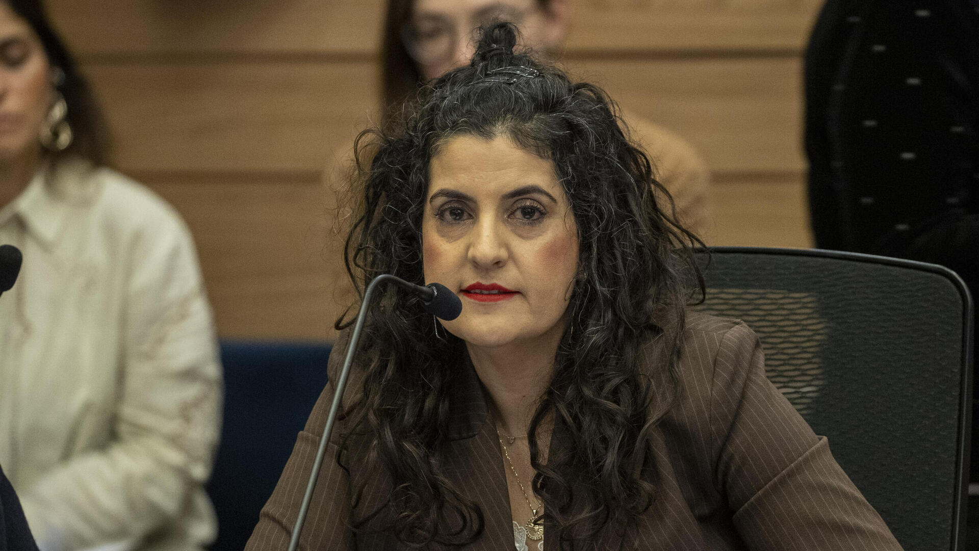 יועמ"שית הכנסת עו"ד שגית אפיק 8.1.25