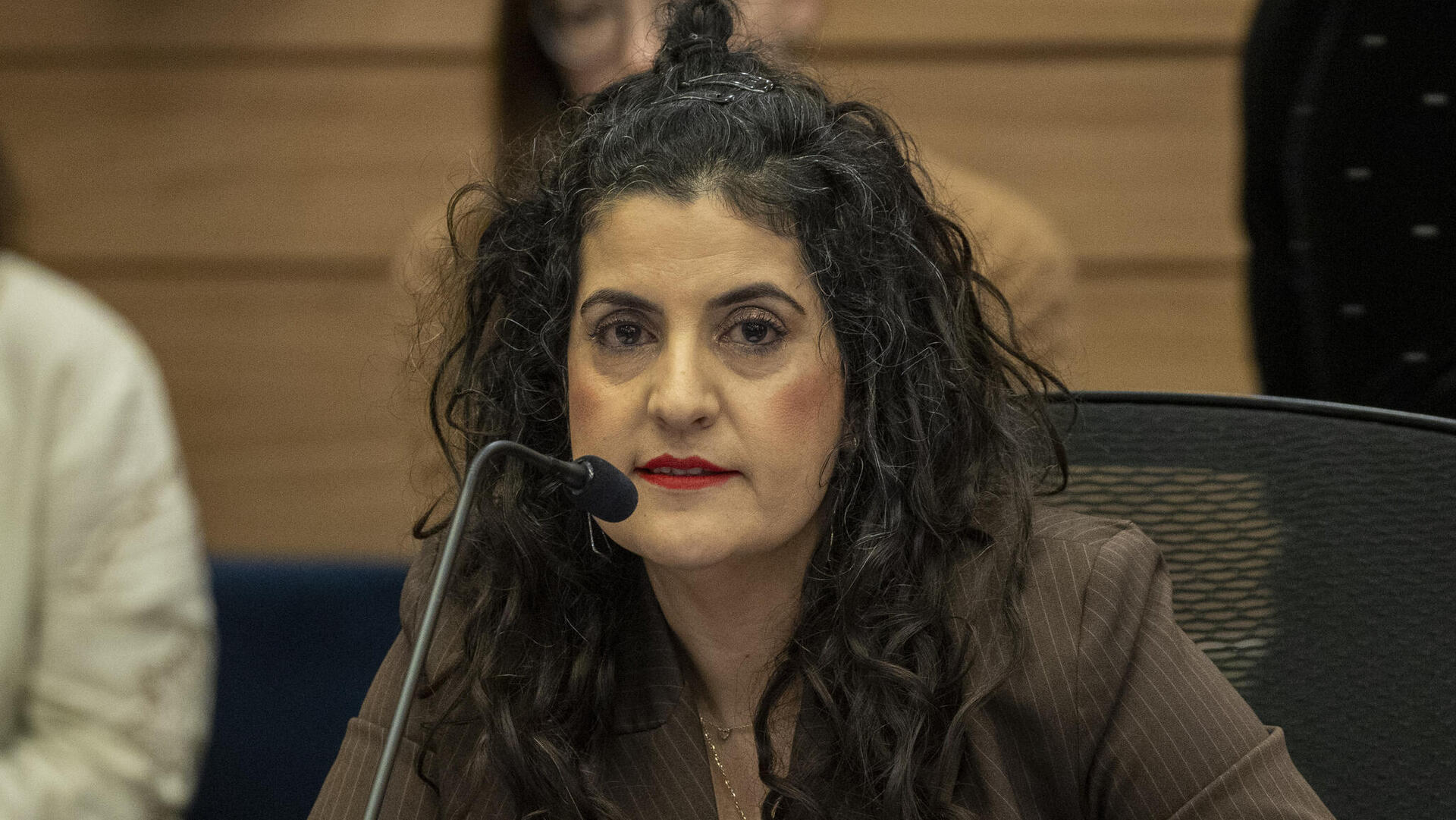 יועמ"שית הכנסת עו"ד שגית אפיק 8.1.25