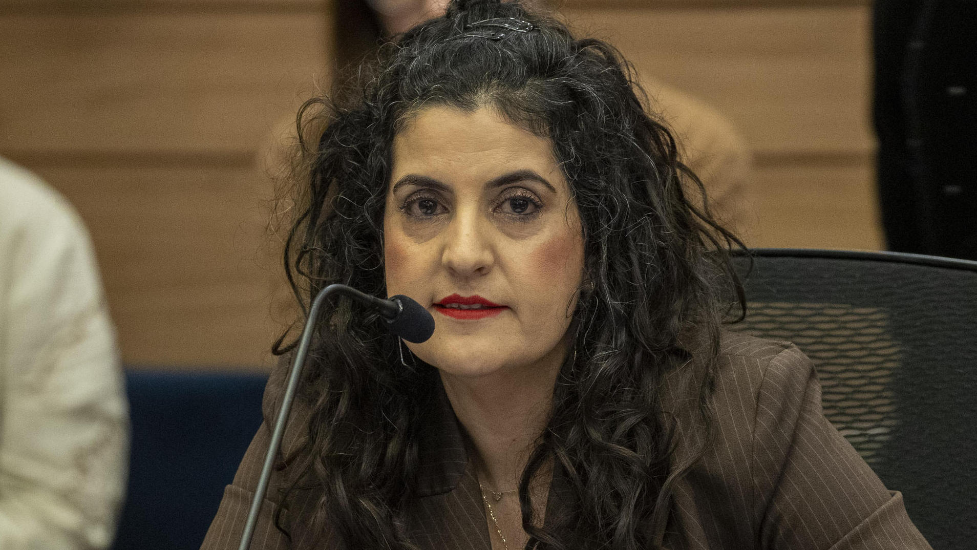 יועמ"שית הכנסת עו"ד שגית אפיק 8.1.25