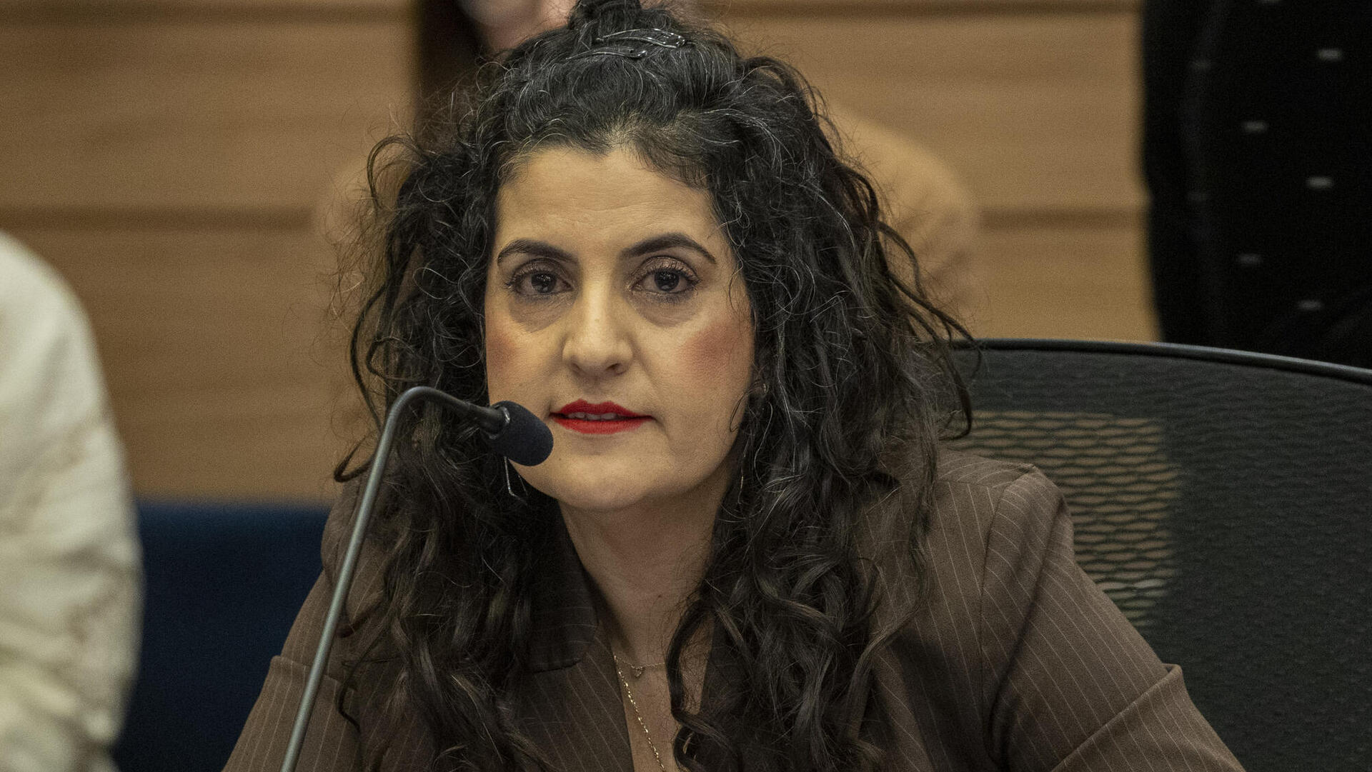 יועמ"שית הכנסת עו"ד שגית אפיק 8.1.25