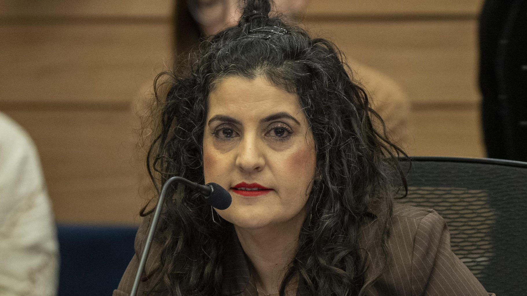 יועמ"שית הכנסת עו"ד שגית אפיק 8.1.25