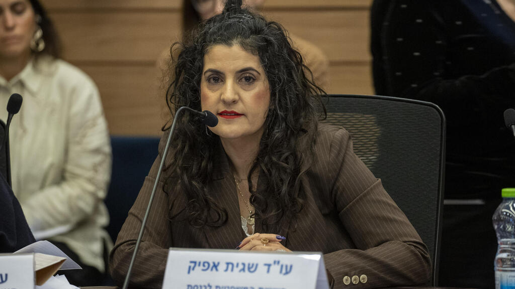 יועמ"שית הכנסת עו"ד שגית אפיק 8.1.25