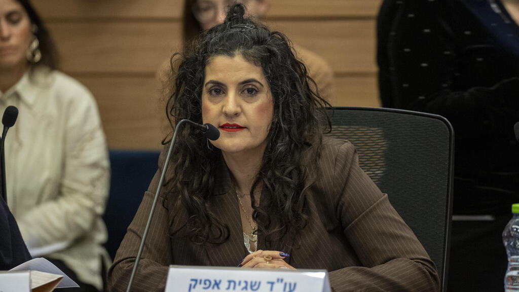 יועמ"שית הכנסת עו"ד שגית אפיק 8.1.25