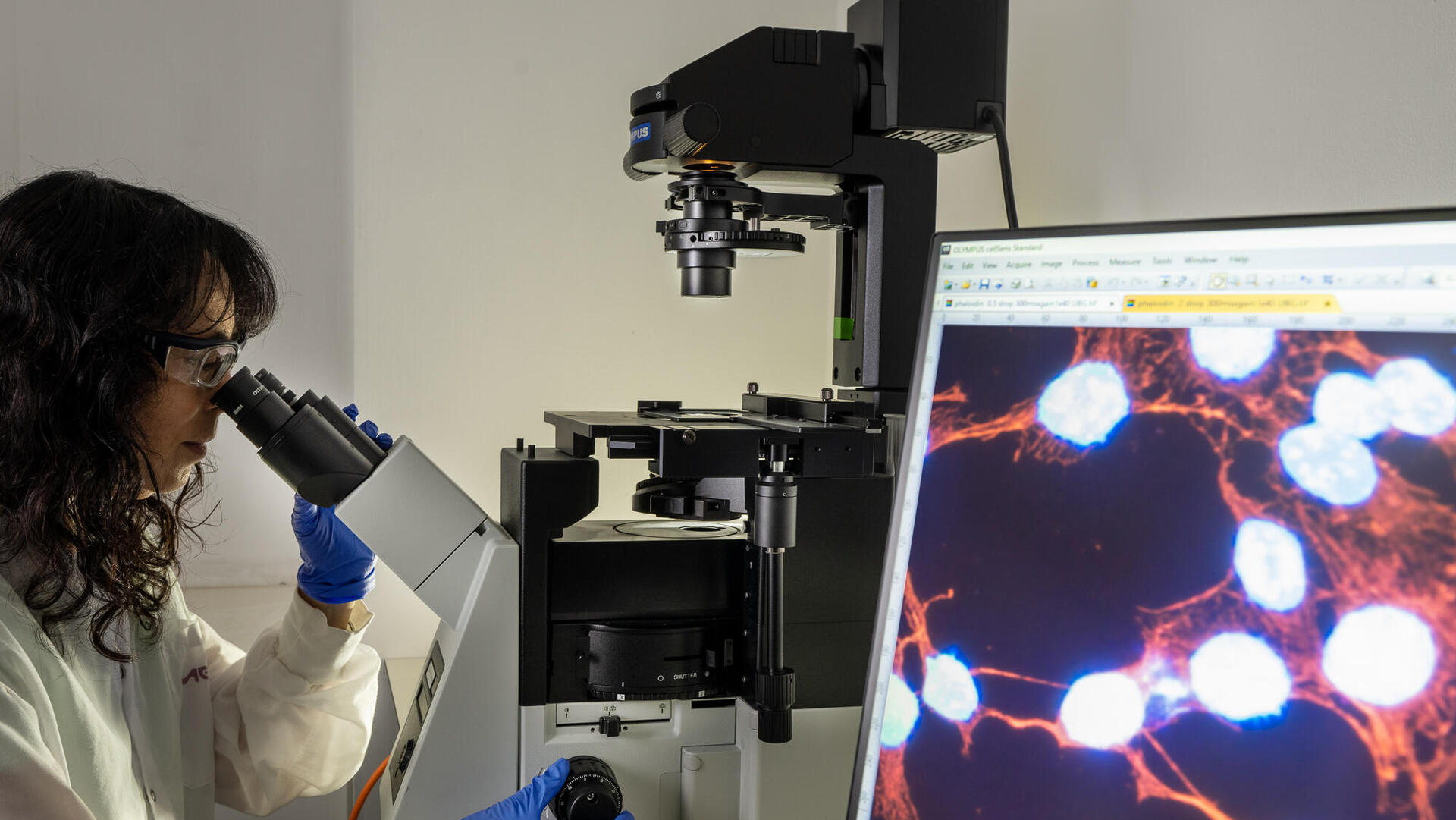 מרכז הפיתוח של MERCK בישראל