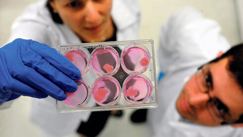 Aleph Farms cuts jobs and shifts to outsourcing as cultivated meat industry...