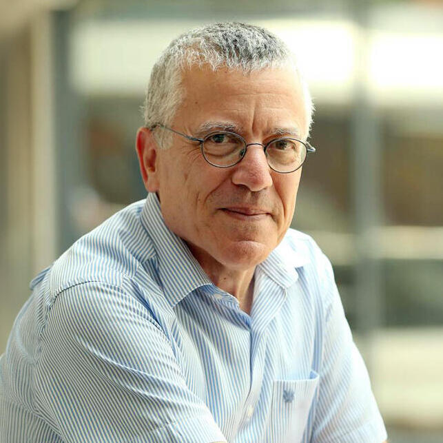פרופ' בועז גולני הטכניון 