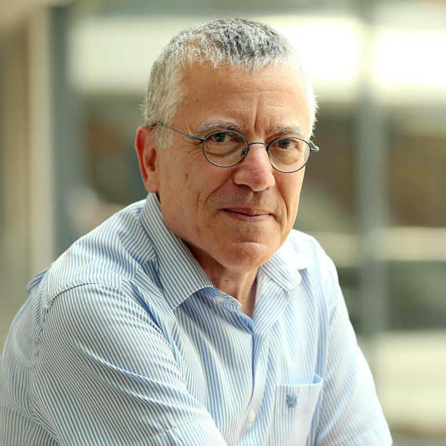 פרופ' בועז גולני הטכניון 