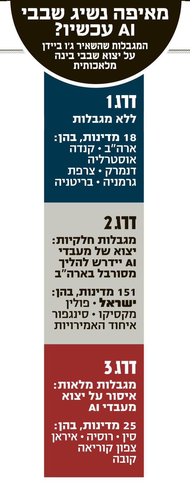 אינפו מאיפה נשיג שבבי AI עכשיו