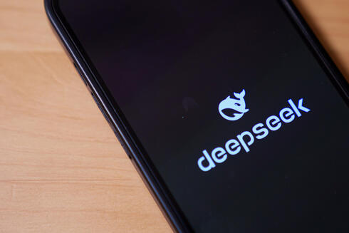 DeepSeek. 