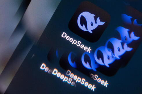 DeepSeek app. 