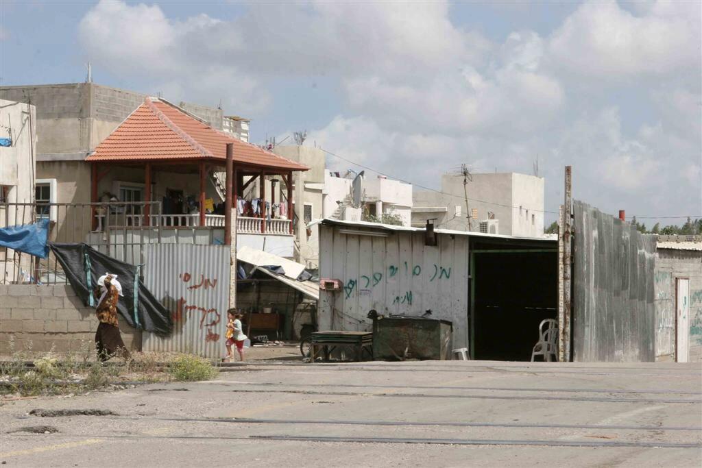 פרדס שניר לוד 2009